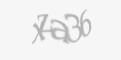 Защитный код